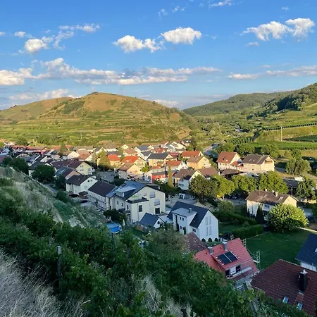 Turmfalke Vogtsburg